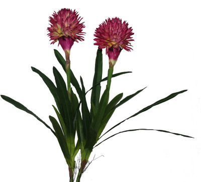55% OFF on PolliNation King Flower Red Assorted Artificial Flower 55% OFF on PolliNation King Flower Red Assorted Artificial Flower