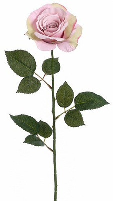 50% OFF on Amiya Garden White, Pink Rose Artificial Flower 50% OFF on Amiya Garden White, Pink Rose Artificial Flower