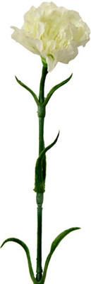 40% OFF on Gifts By Meeta White Carnations Artificial Flower