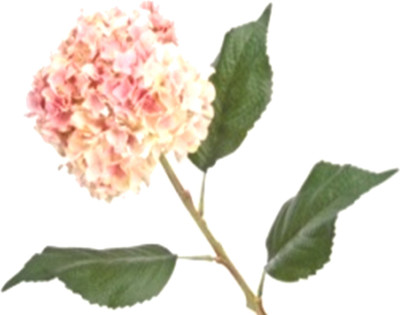 53% OFF on Flowers Forever Single Hydrangea Pink Assorted Artificial Flower