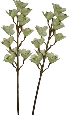 35% OFF on PolliNation Giant Cymbidium Green Assorted Artificial Flower 35% OFF on PolliNation Giant Cymbidium Green Assorted Artificial Flower