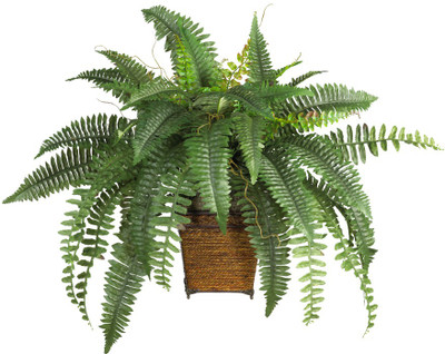 34% OFF on Amiya Garden Assorted Artificial Plant