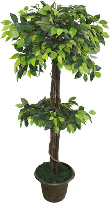 22% OFF on Green Era Wild Plant Artificial Plant