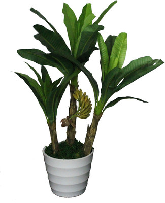 56% OFF on PolliNation Banana With Pot Assorted Artificial Plant with Pot 56% OFF on PolliNation Banana With Pot Assorted Artificial Plant with Pot