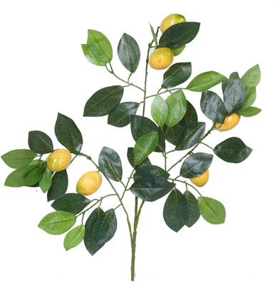 54% OFF on Evergreen Assorted Artificial Plant 54% OFF on Evergreen Assorted Artificial Plant