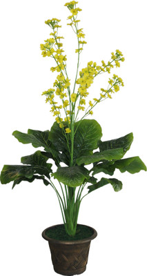 20% OFF on Green Era Wild Plant Artificial Plant