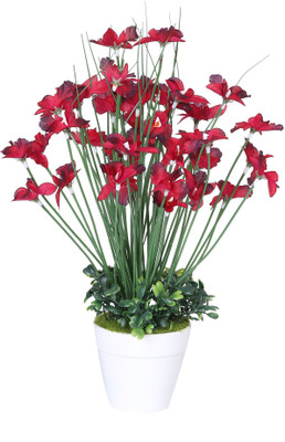 42% OFF on Evergreen Assorted Artificial Plant with Pot 42% OFF on Evergreen Assorted Artificial Plant with Pot