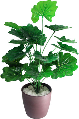 34% OFF on Fourwalls Assorted Artificial Plant with Pot 34% OFF on Fourwalls Assorted Artificial Plant with Pot
