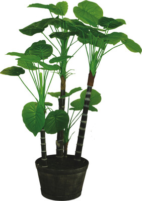 22% OFF on Green Era Wild Plant Artificial Plant