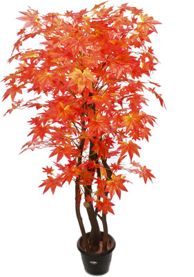 Kusal 2 red maple Wild Plant Artificial Plant with Pot Kusal 2 red maple Wild Plant Artificial Plant with Pot