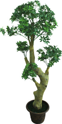 23% OFF on Green Era Wild Plant Artificial Plant