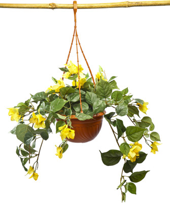 Kusal Assorted Artificial Plant with Pot Kusal Assorted Artificial Plant with Pot