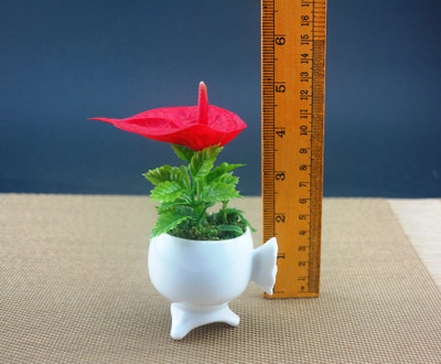 Importwala Mini Anthrium in Ceramic Pot Assorted Artificial Plant with Pot Importwala Mini Anthrium in Ceramic Pot Assorted Artificial Plant with Pot