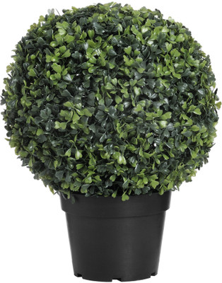 50% OFF on E-Plant Assorted Artificial Plant with Pot 50% OFF on E-Plant Assorted Artificial Plant with Pot