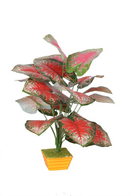 43% OFF on Evergreen Assorted Artificial Plant 43% OFF on Evergreen Assorted Artificial Plant