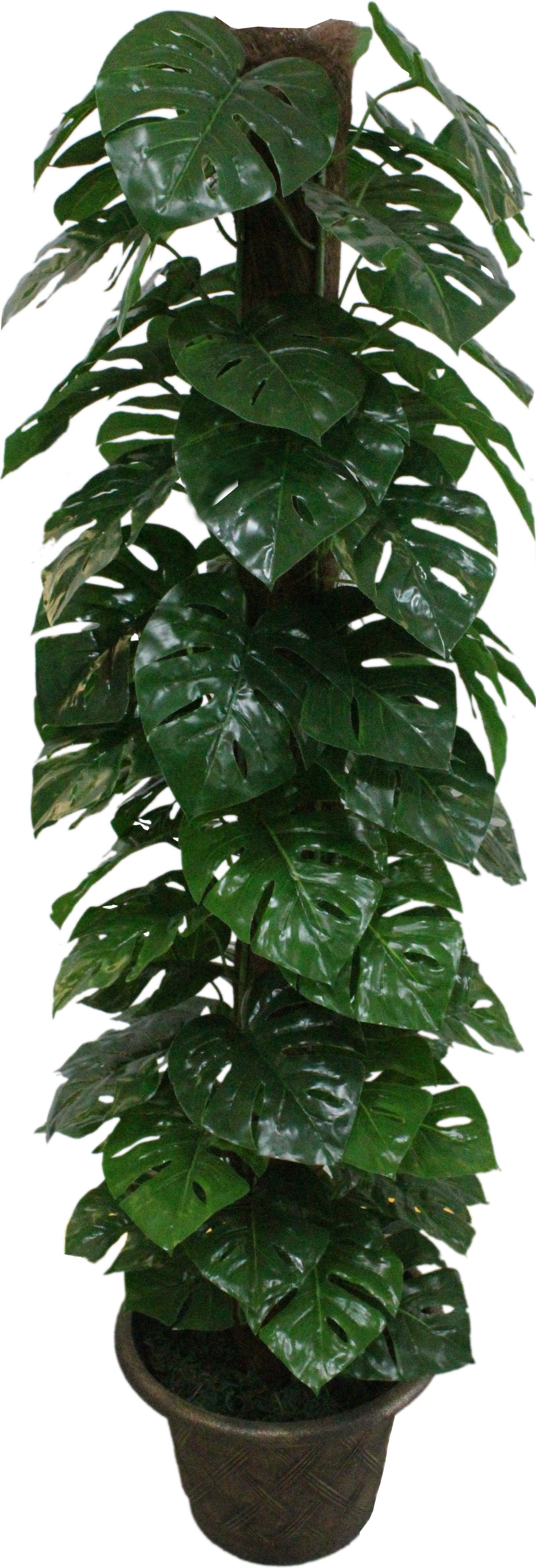 22% OFF on Green Era Wild Plant Artificial Plant