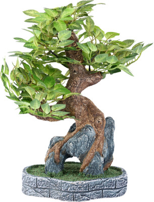 60% OFF on JB Collection Bonsai Wild Plant Artificial Plant with Pot 30 cm, Green 60% OFF on JB Collection Bonsai Wild Plant Artificial Plant with Pot 30 cm, Green
