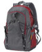 Fastrack Backpack