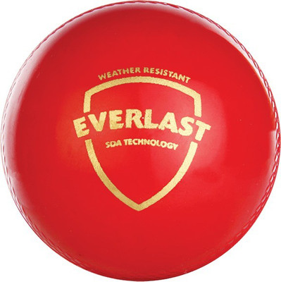 10% OFF on SG Everlast Cricket Ball - Size: 5, Diameter: 2.5 cm 10% OFF on SG Everlast Cricket Ball - Size: 5, Diameter: 2.5 cm
