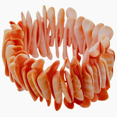 22% OFF on Mallika Shell Bracelet 22% OFF on Mallika Shell Bracelet
