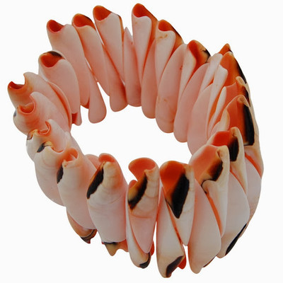 22% OFF on Mallika Shell Bracelet 22% OFF on Mallika Shell Bracelet