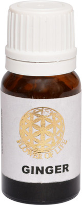 Flower of Life Ginger Essential Oil 10 ml Flower of Life Ginger Essential Oil 10 ml
