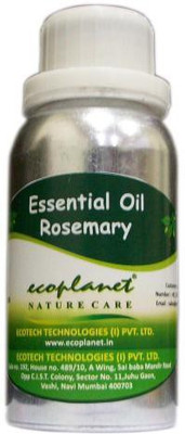 Ecoplanet Essential Oil of Rosemary 50 g
