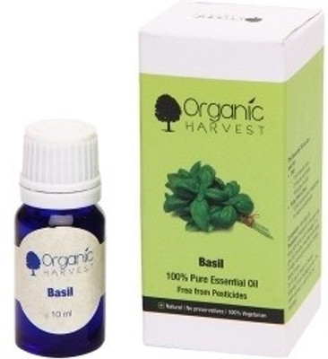 25% OFF on Organic Harvest Basil Oil 10 ml 25% OFF on Organic Harvest Basil Oil 10 ml
