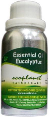 Ecoplanet Essential Oil of Eucalyptus 100 g Ecoplanet Essential Oil of Eucalyptus 100 g