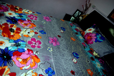 29% OFF on Rajasthani Decor Cotton Printed Single Bedsheet