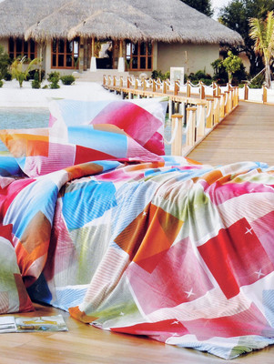 22% OFF on North West Polyester Printed Double Bedsheet 1 Double Bedsheet, 2 Pillow Cases, Multicolor