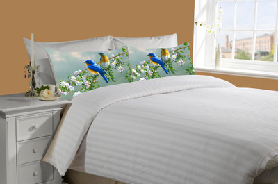 65% OFF on meSleep Cotton Striped Double King Bedsheet