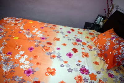 23% OFF on Rajasthani Decor Cotton Printed Single Bedsheet