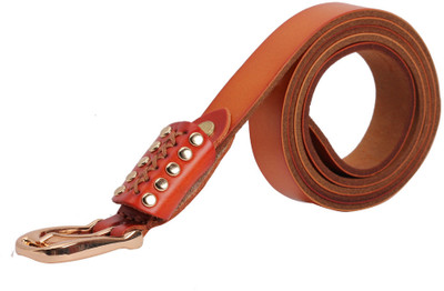 Khoobsurati Women Casual Brown Belt Brown Khoobsurati Women Casual Brown Belt Brown