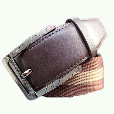 55% OFF on Winsome Deal Men Casual Brown Canvas Belt Brown