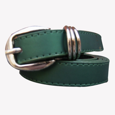 74% OFF on Winsome Deal Women Casual Green Belt Green