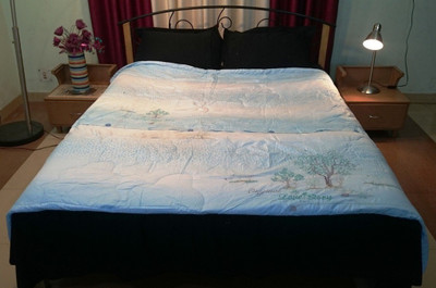 63% OFF on Jojo Designs Embroidered Double Quilt & Comforter