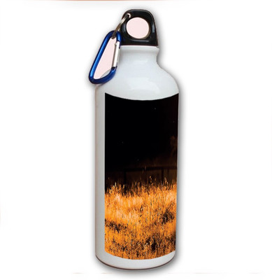 70% OFF on Amy Running Horse 500 ml Bottle