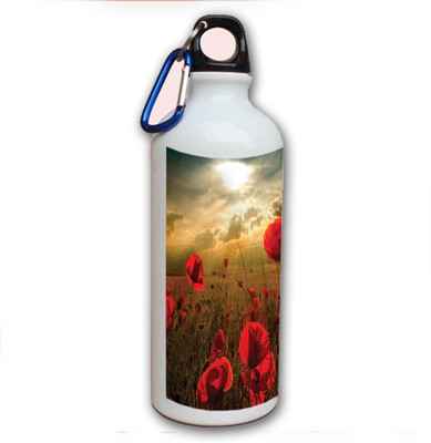70% OFF on Amy Pretty Red Rose 500 ml Bottle 70% OFF on Amy Pretty Red Rose 500 ml Bottle