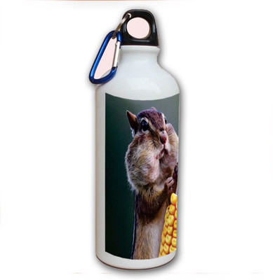 70% OFF on Amy Chipmunk Eating Corn 500 ml Bottle 70% OFF on Amy Chipmunk Eating Corn 500 ml Bottle