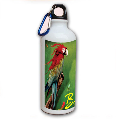 70% OFF on Amy Beauty Parrot Bird 500 ml Bottle