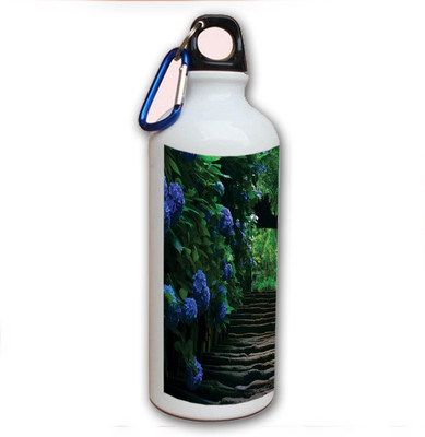 70% OFF on Amy Nature Blue Flowers 500 ml Bottle 70% OFF on Amy Nature Blue Flowers 500 ml Bottle