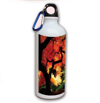 70% OFF on Amy Beautiful Scenery Forest 500 ml Bottle 70% OFF on Amy Beautiful Scenery Forest 500 ml Bottle