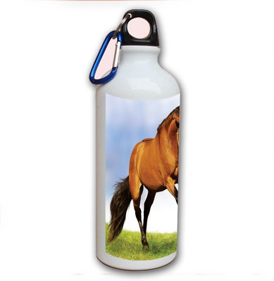 70% OFF on Amy Brown Horse 500 ml Bottle