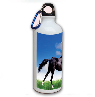 70% OFF on Amy Horse Run 500 ml Bottle