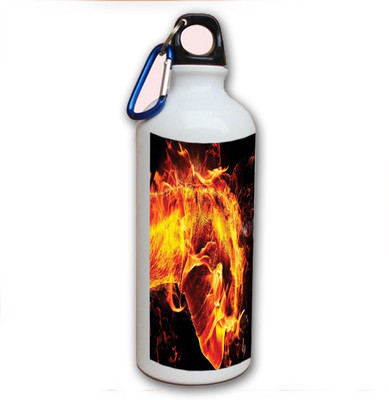 70% OFF on Amy Brofist Zombies Blue 500 ml Bottle 70% OFF on Amy Brofist Zombies Blue 500 ml Bottle