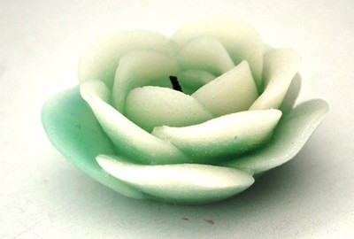 50% OFF on BMS Lifestyle Flower_Green Candle 50% OFF on BMS Lifestyle Flower_Green Candle