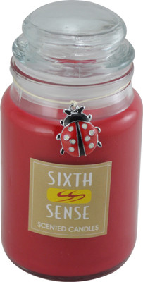 Sixthsense 5 Oz Scented Jar Candle Sixthsense 5 Oz Scented Jar Candle