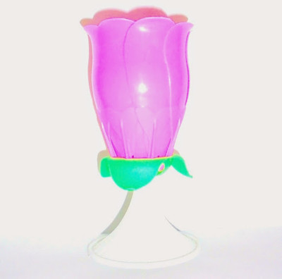 40% OFF on Tiger Happy Birthday Musical Flower Large Candle 40% OFF on Tiger Happy Birthday Musical Flower Large Candle