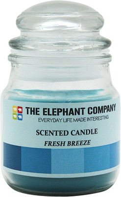 The Elephant Company Yankee Jar Fresh Breeze Candle (Blue, Pack Of 1)